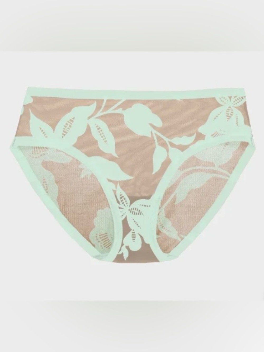 EBY Madam Muse sheer brief, medium NWT